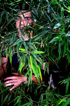 Looking for a Teitleist 4