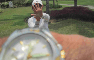 The evidence, though hardly needed ....