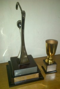 Tee Set Championship Trophies brushed up