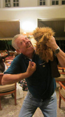 24209606331_27609576e6_m