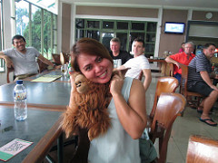 29455360526_41abe7381a_m